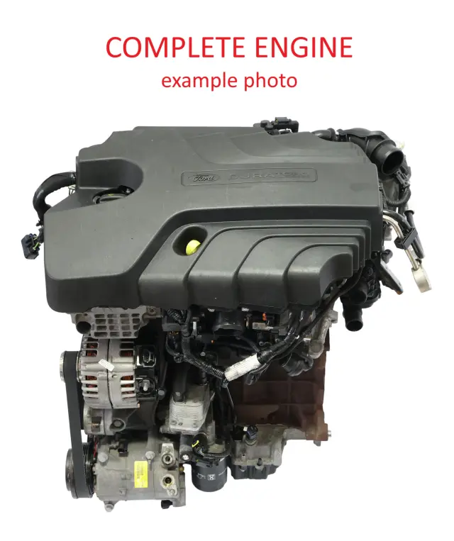 globalparts3-915026