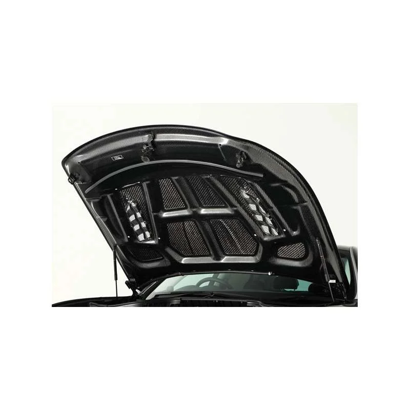 torqen1-1038137